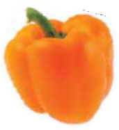 Poivron california wonder orange AB 